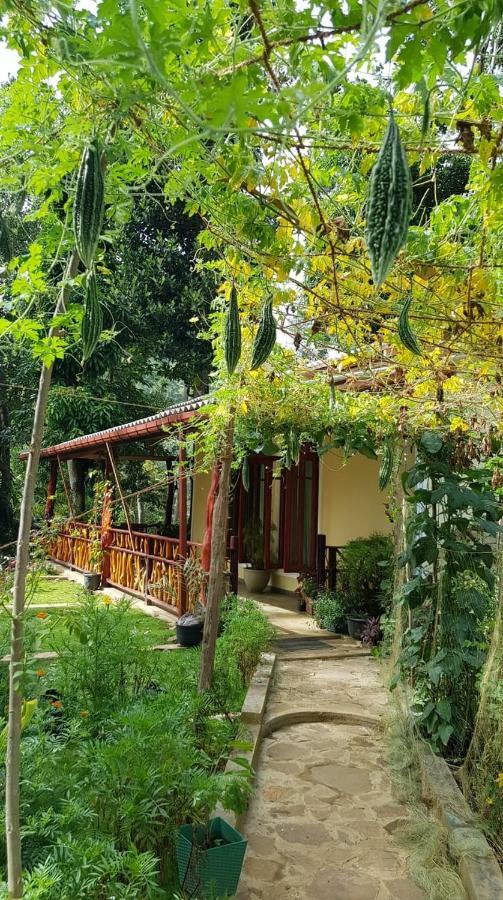 Happy Horizon Home Stay Ella Eksteriør billede